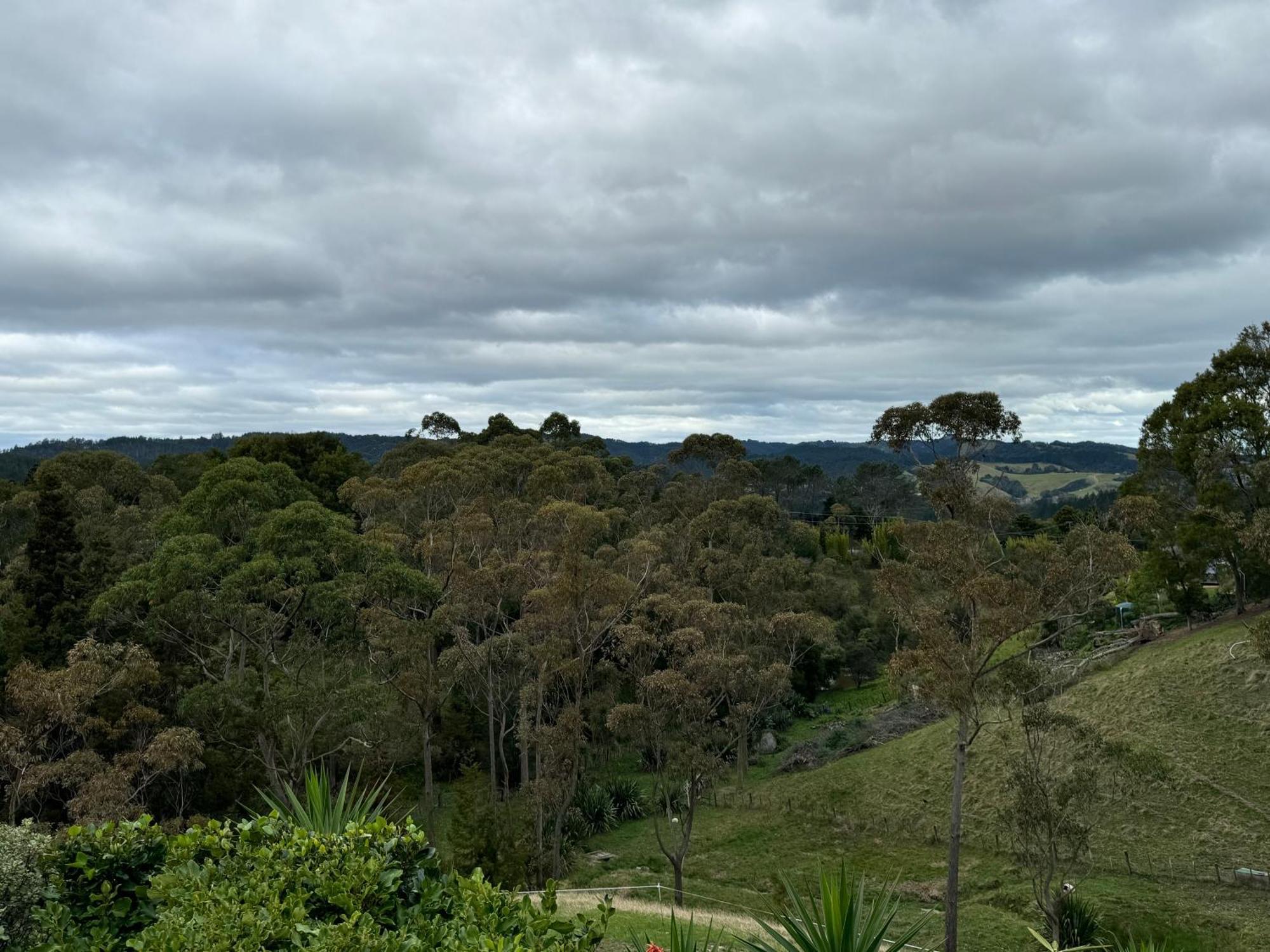Private Cabin Close To The City Centre Whangarei Extérieur photo