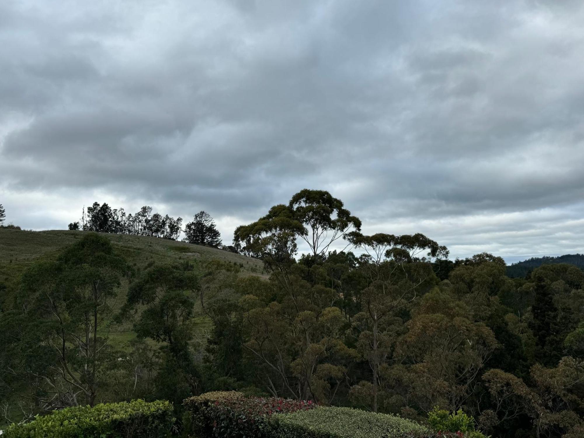 Private Cabin Close To The City Centre Whangarei Extérieur photo