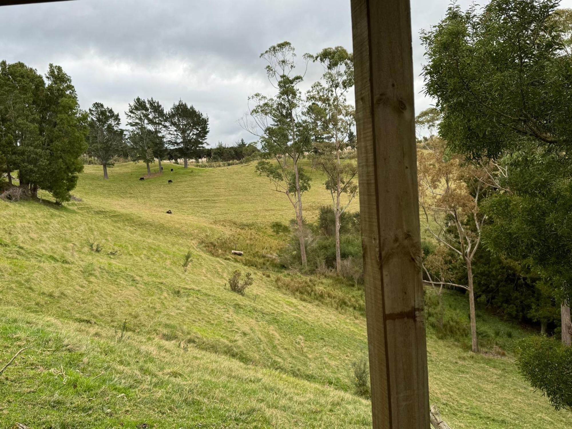 Private Cabin Close To The City Centre Whangarei Extérieur photo