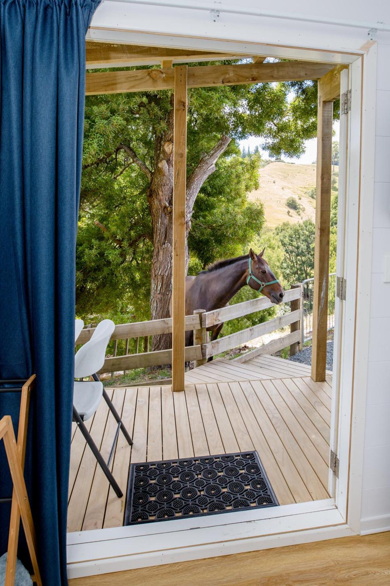 Private Cabin Close To The City Centre Whangarei Extérieur photo