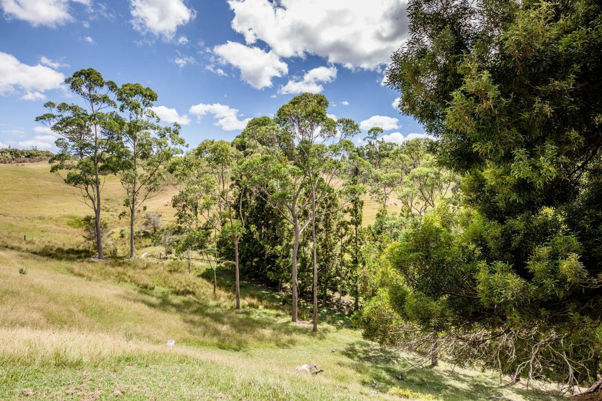 Private Cabin Close To The City Centre Whangarei Extérieur photo